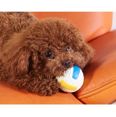 犬のおもちゃ スポーツモチーフ鳴き笛ボール