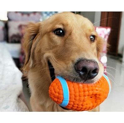 犬のおもちゃ スポーツモチーフ鳴き笛ボール