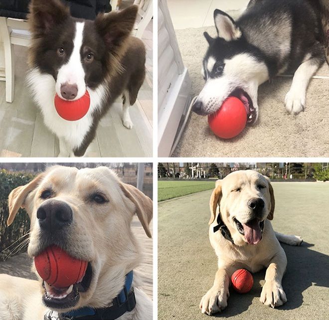 犬のおもちゃ 実心超耐咬ボール