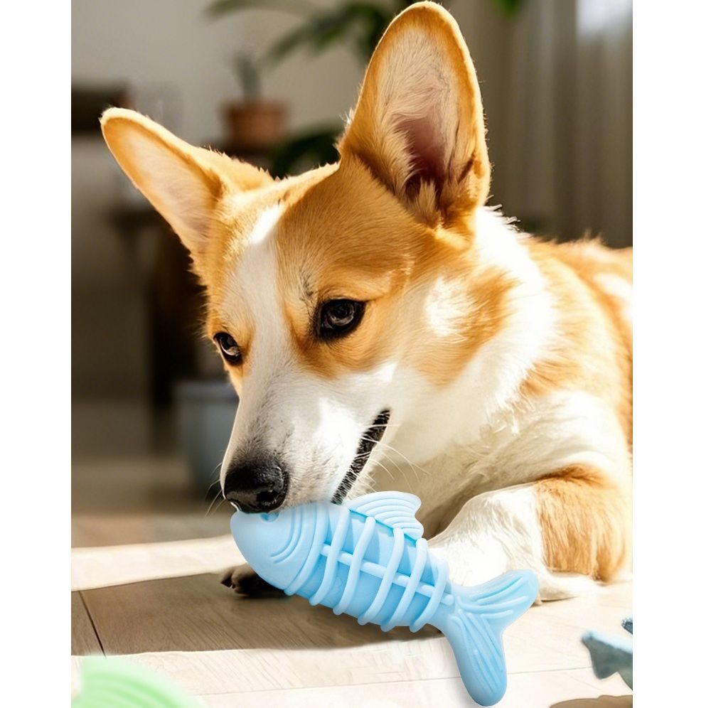 犬のおもちゃ 魚のかみごたえ 歯磨きおもちゃ