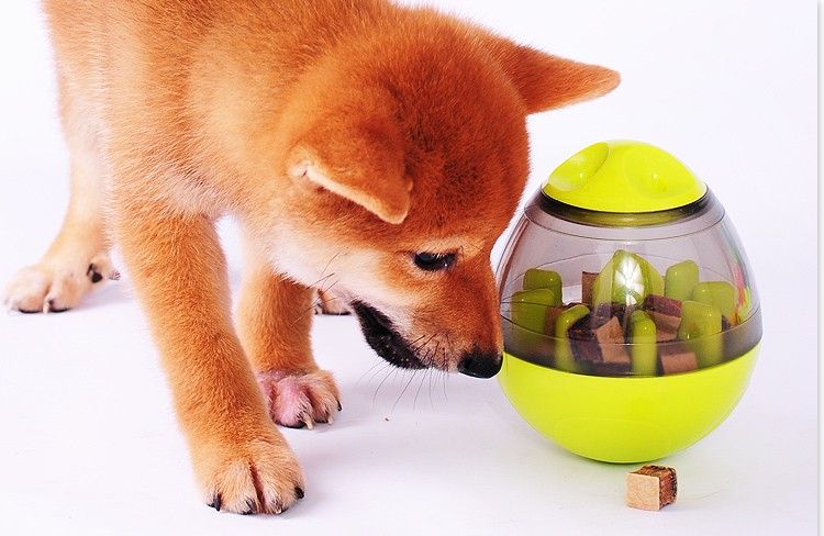犬のおもちゃ ごきげんたまご 知育フードディスペンサー