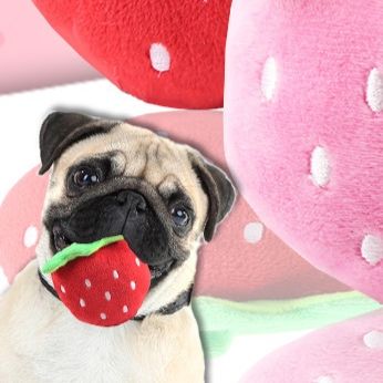 犬のおもちゃ もぎたていちごのふわふわくん
