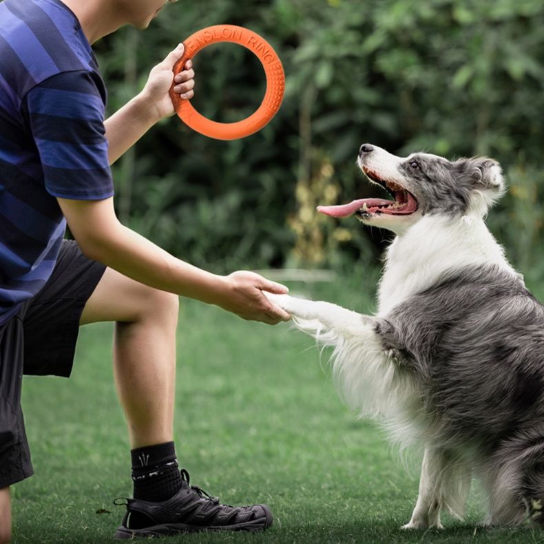 犬のおもちゃ リング型デンタルトイ