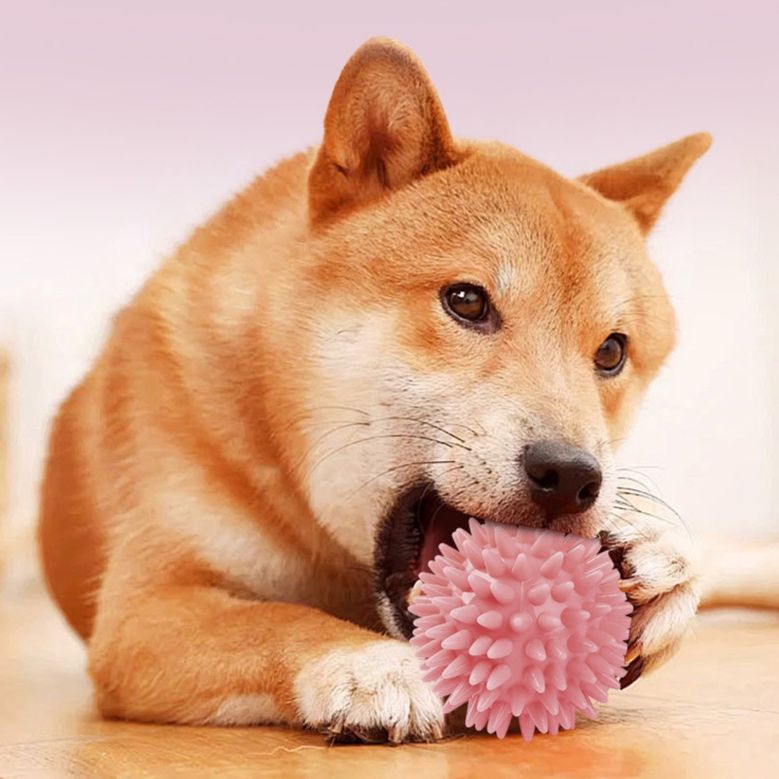 犬のおもちゃ デンタルクリーンボール