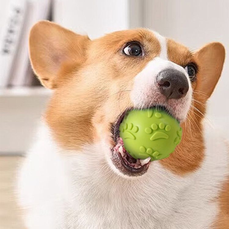 犬のおもちゃ 足跡デザイン 弾む喜び ボール
