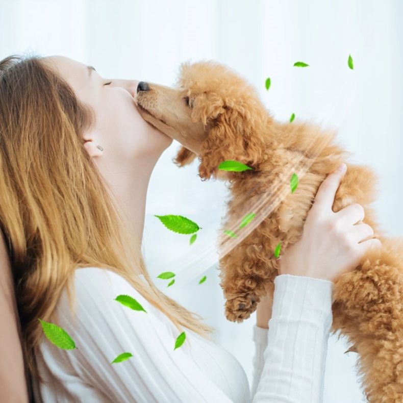 犬のおもちゃ わんこの歯磨き棒 デンタルケア