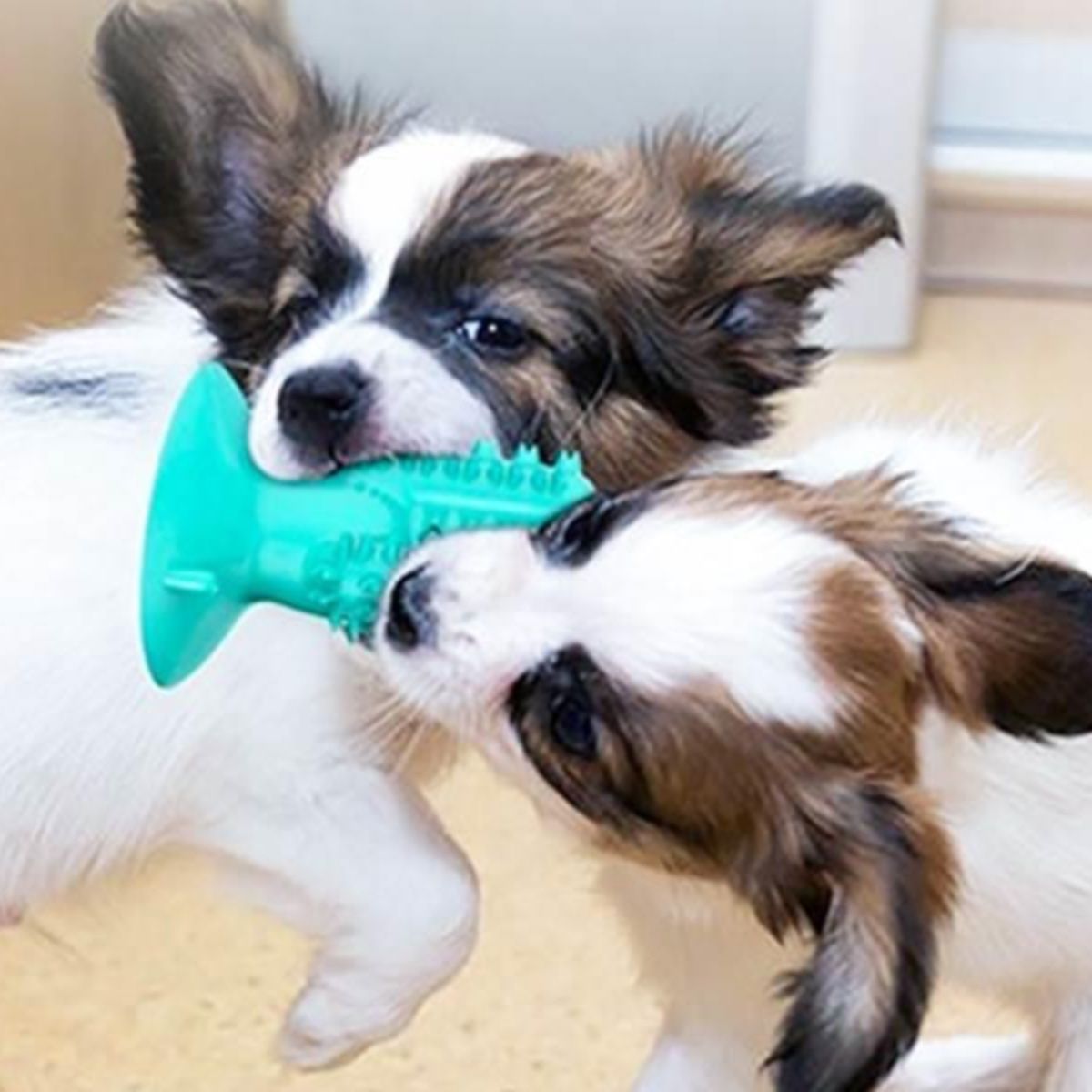犬のおもちゃ サボテン歯磨きスティック