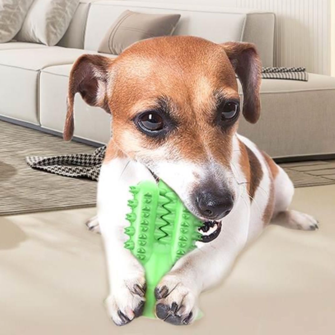 犬のおもちゃ サボテン歯磨きスティック