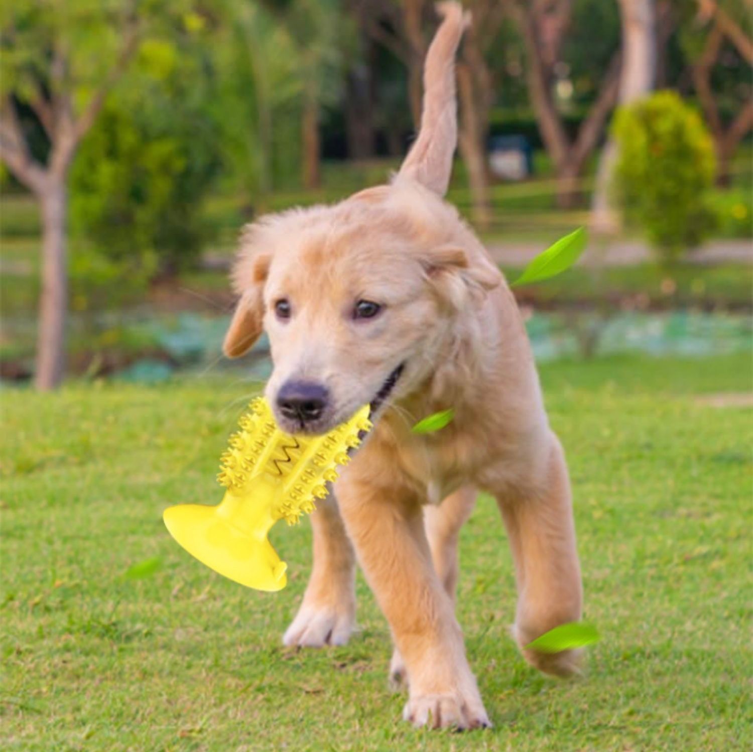 犬のおもちゃ サボテン歯磨きスティック