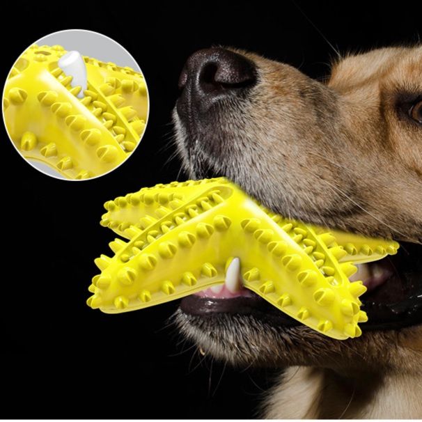 犬のおもちゃ 星の輝き 歯みがきスター