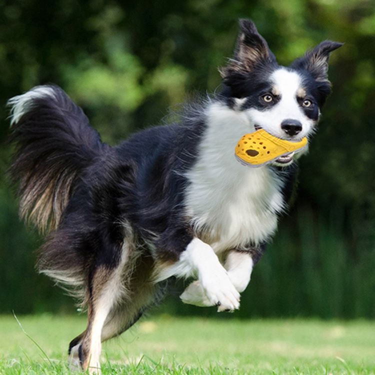 犬のおもちゃ サンダル型 噛みごたえトイ