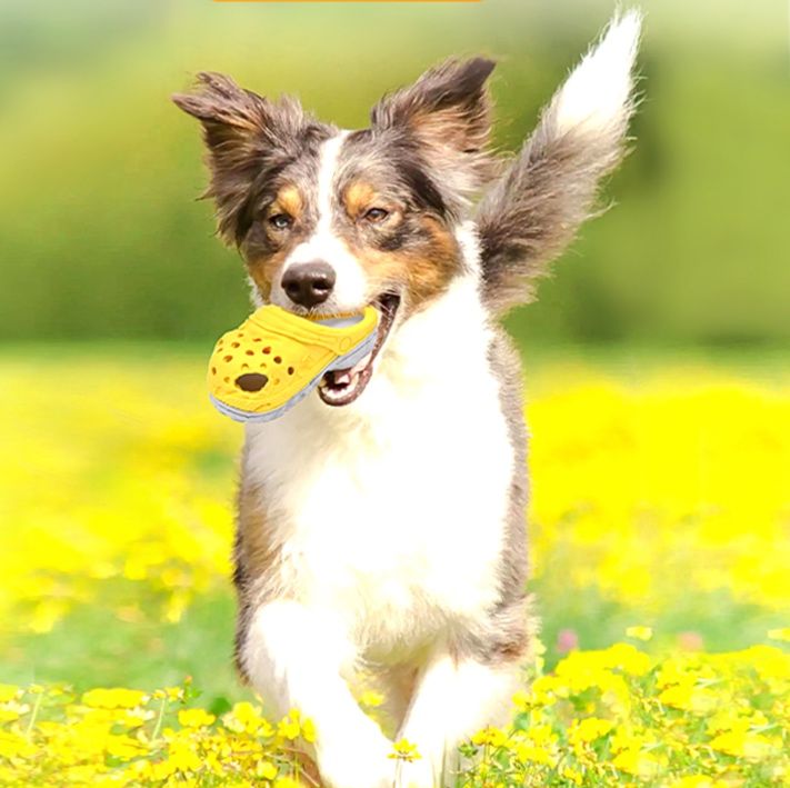 犬のおもちゃ サンダル型 噛みごたえトイ