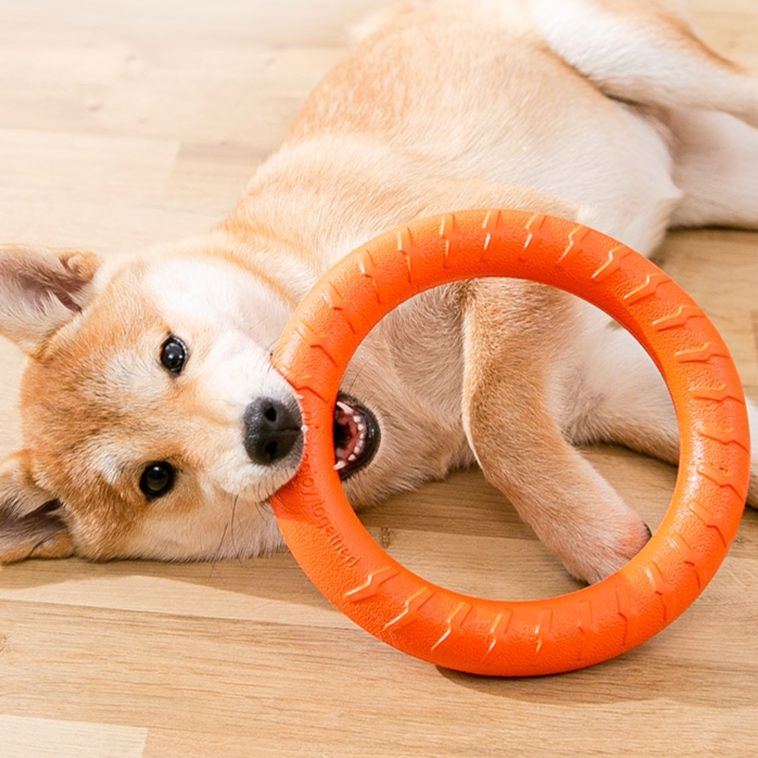 犬のおもちゃ 丈夫なリング型引っ張りおもちゃ