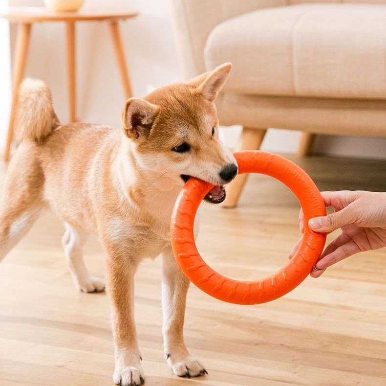 犬のおもちゃ 丈夫なリング型引っ張りおもちゃ