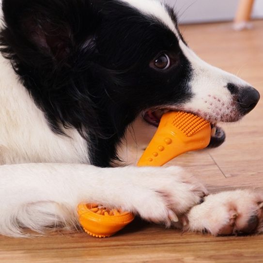 犬のおもちゃ わんちゃん歯ブラシボーン