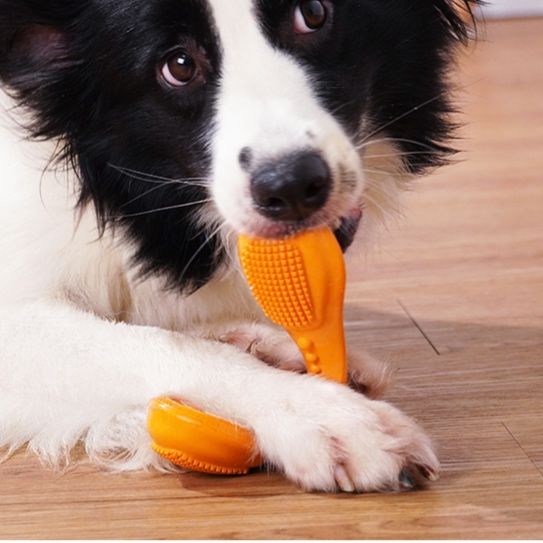 犬のおもちゃ わんちゃん歯ブラシボーン