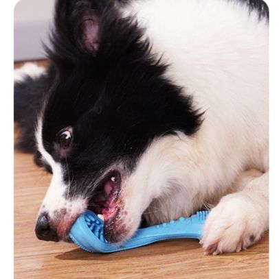 犬のおもちゃ わんちゃん歯ブラシボーン