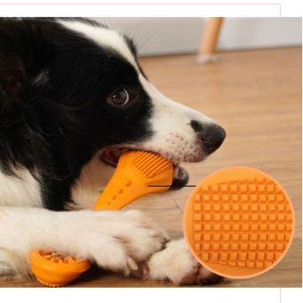 犬のおもちゃ わんちゃん歯ブラシボーン