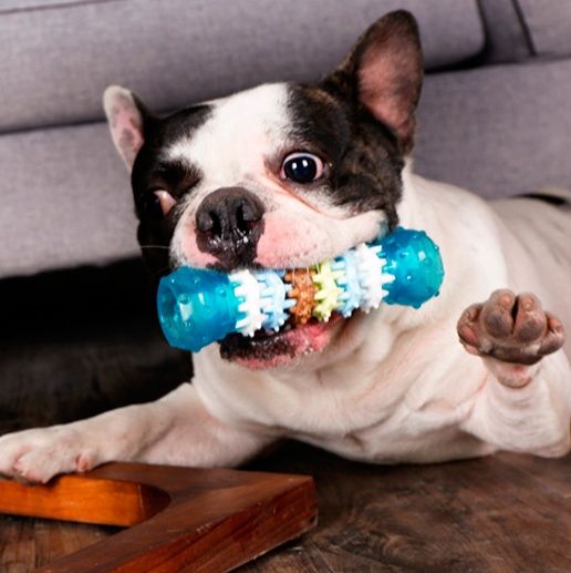 犬のおもちゃ 歯磨きボーン 噛み心地デンタルトイ