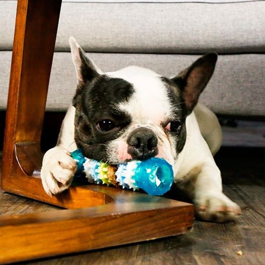 犬のおもちゃ 歯磨きボーン 噛み心地デンタルトイ