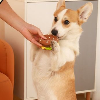 犬のおもちゃ 美味しそうな音鳴りハンバーガー型犬用玩具