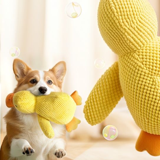 https://fulmo-img-server.com/inu-happy/1757985182396_dza9berl_bvj6h6zj.jpeg