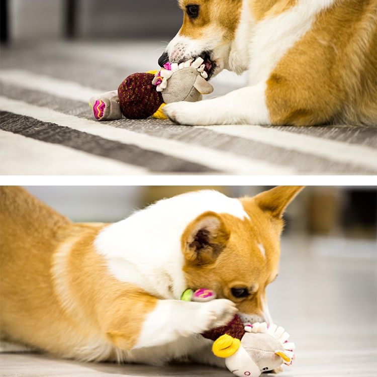 犬のおもちゃ 愛らしい動物たちの音が鳴る歯磨きぬいぐるみ