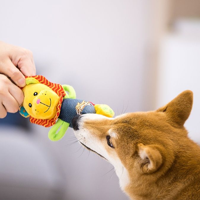犬のおもちゃ 愛らしい動物たちの音が鳴る歯磨きぬいぐるみ