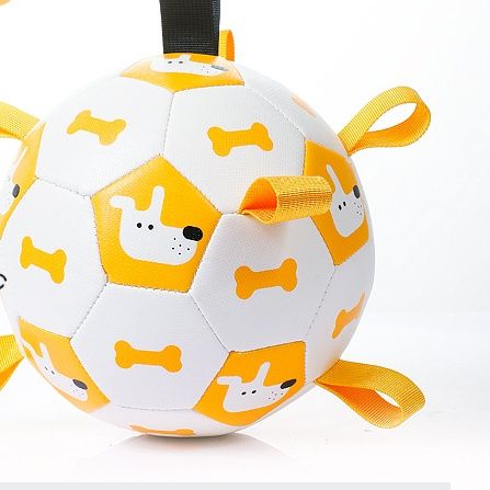 https://fulmo-img-server.com/inu-happy/1758077242216_1bms5sxb_8mngnxgb.jpeg