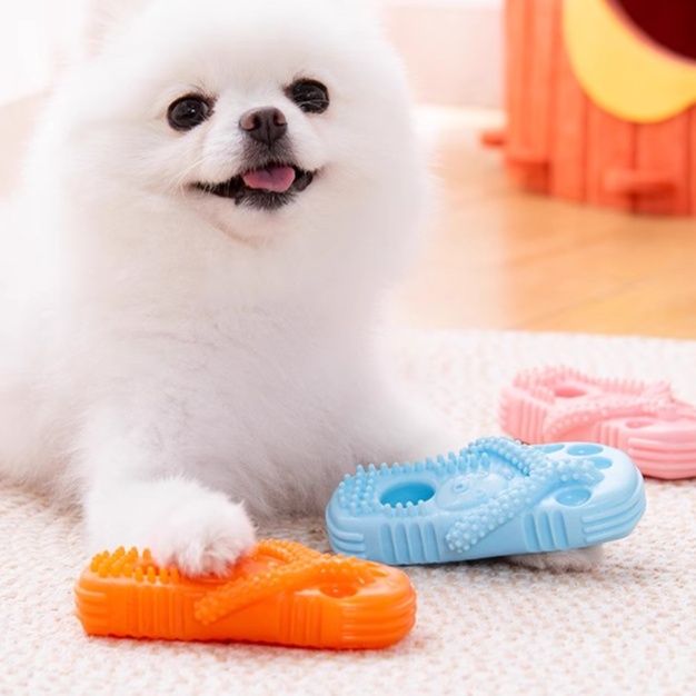 犬のおもちゃ 愛犬用歯磨きぽこぽこスリッパ型おもちゃ