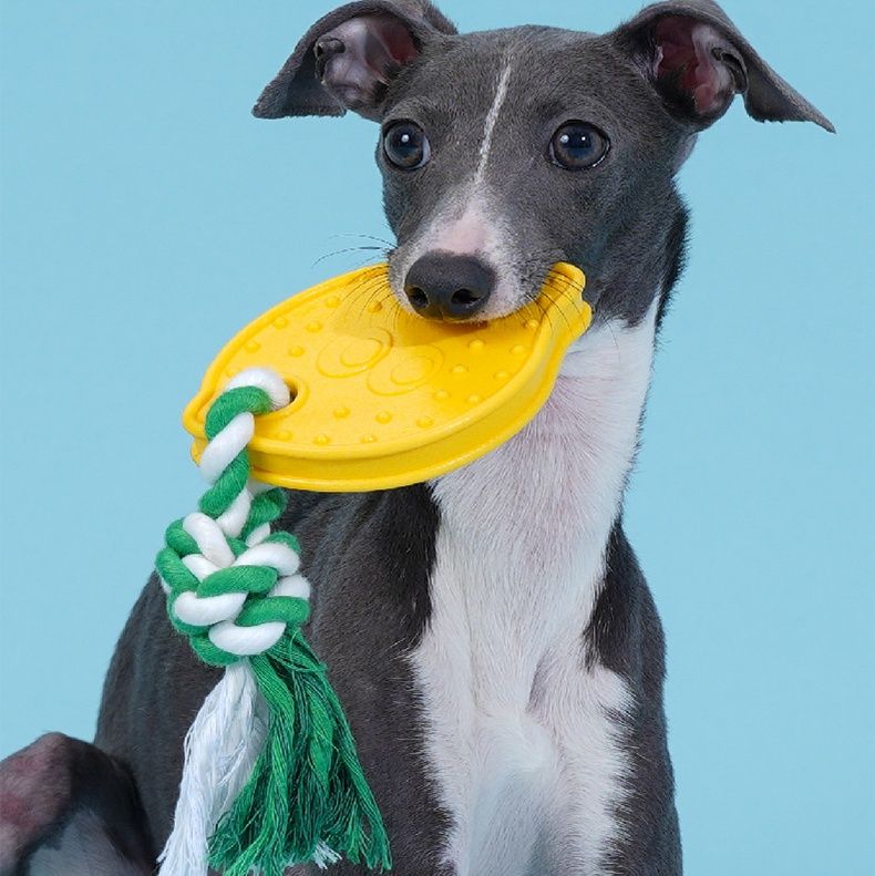 犬のおもちゃ 愛犬の歯と歯茎に優しいレモン型歯磨きおもちゃ