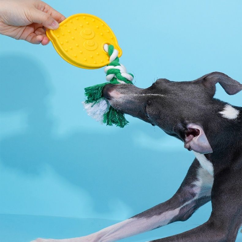 犬のおもちゃ 愛犬の歯と歯茎に優しいレモン型歯磨きおもちゃ