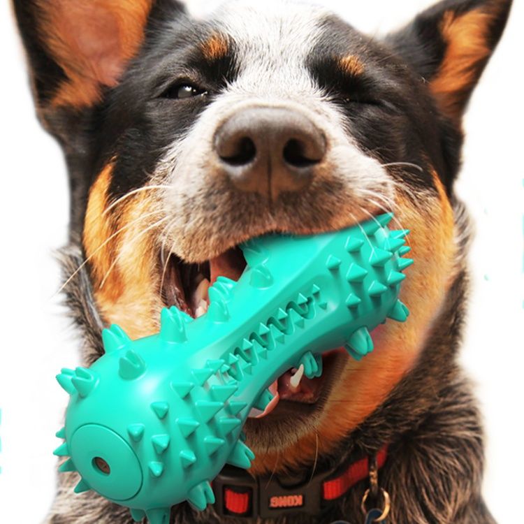 犬のおもちゃ 愛犬の歯の健康を守る突起付き歯磨きおもちゃ