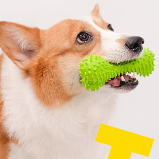 犬のおもちゃ もぐもぐ突起付き歯磨き骨型玩具