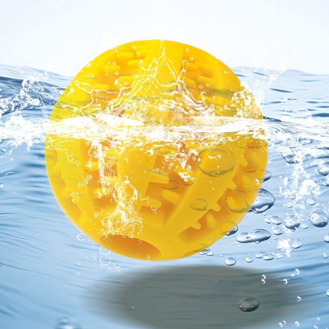 https://fulmo-img-server.com/inu-happy/1758178183119_uw5sp38o_024m7lju.jpeg