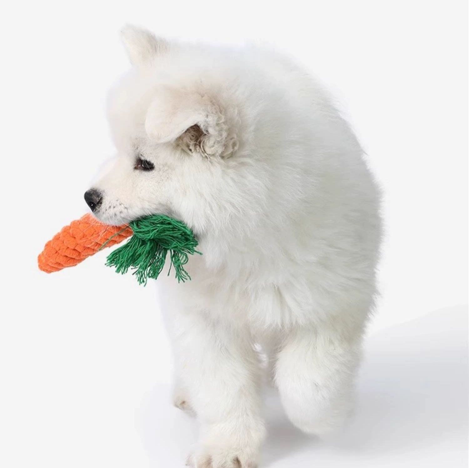 犬のおもちゃ にんじん型ロープ編み歯磨きトイ