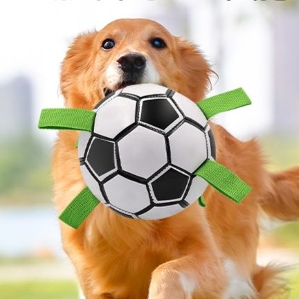 https://fulmo-img-server.com/inu-happy/1758508837137_1pdl6rug_m7jvmui5.jpeg
