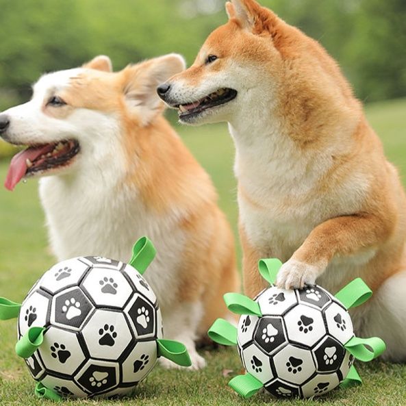 https://fulmo-img-server.com/inu-happy/1758508871727_34k1ucgp_vrdgqqrr.jpeg