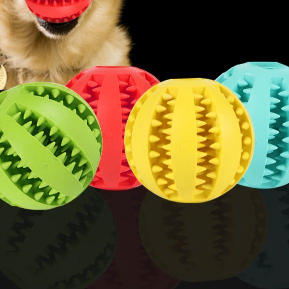 https://fulmo-img-server.com/inu-happy/1758515376130_41l6ys5w_m0wuat9o.jpeg