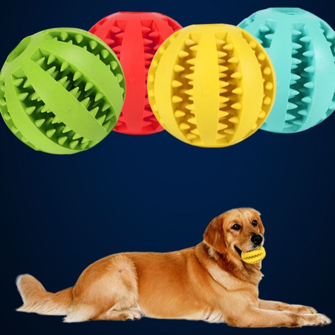 https://fulmo-img-server.com/inu-happy/1758515439268_i9ar6dui_xq0vxj74.jpeg