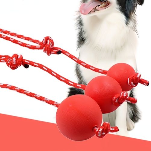 https://fulmo-img-server.com/inu-happy/1758516398005_61q3tq19_5xccfh28.jpeg