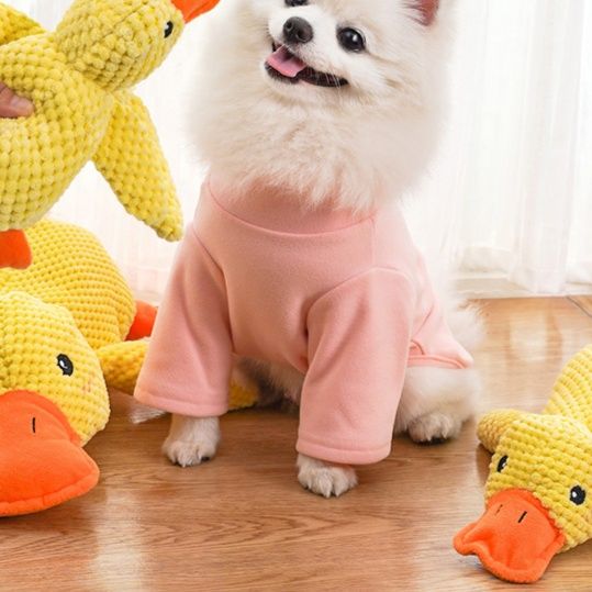 https://fulmo-img-server.com/inu-happy/1758679390731_3lbx9aug_9vysngui.jpeg