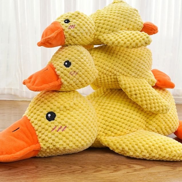 https://fulmo-img-server.com/inu-happy/1758679485766_eks1u0zz_kqyj09gv.jpeg