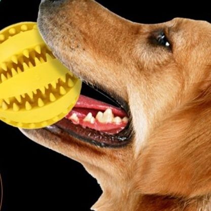 犬のおもちゃ 歯磨き効果抜群！噛むほど楽しいゴム製清潔ボール