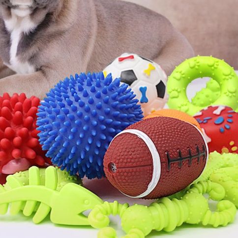 犬のおもちゃ 愛犬用バラエティ豊富な噛み心地セット
