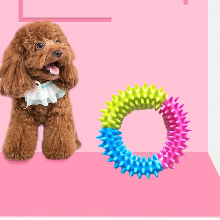 犬のおもちゃ とげとげリング歯みがき玩具