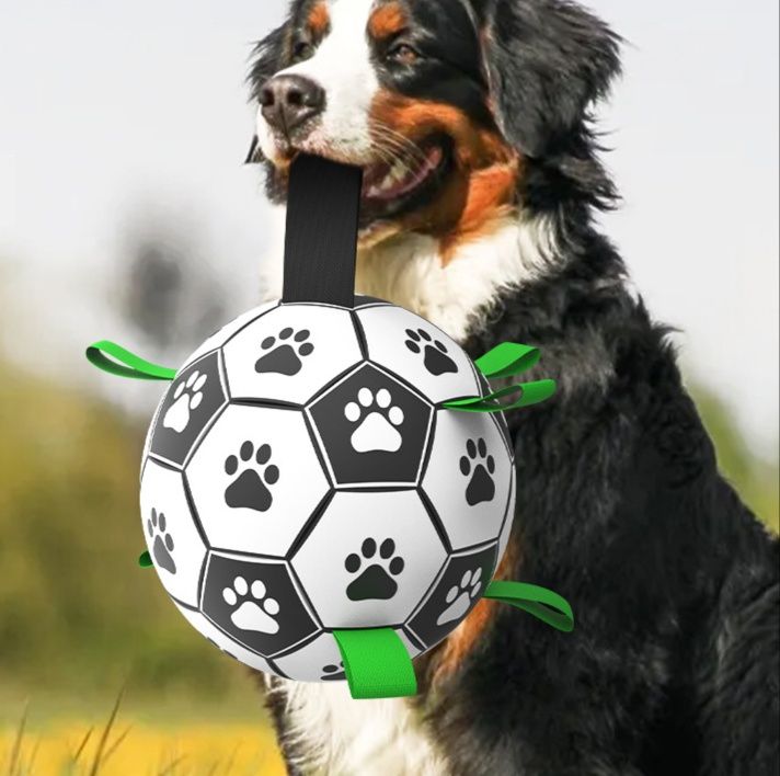 https://fulmo-img-server.com/inu-happy/1759224407882_ev76hwhh_zyfbxdjf.jpeg
