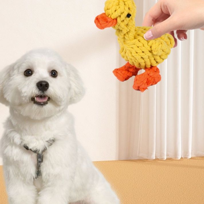 犬のおもちゃ 海の仲間たち編み込みロープ玩具セット