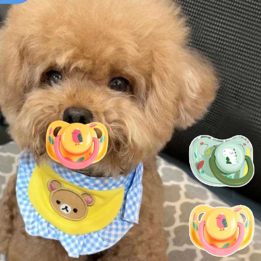 愛犬の笑顔を引き出す!犬用のおもちゃ5選