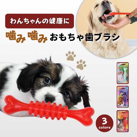 長く遊べる！愛犬のための壊れないおもちゃ5選